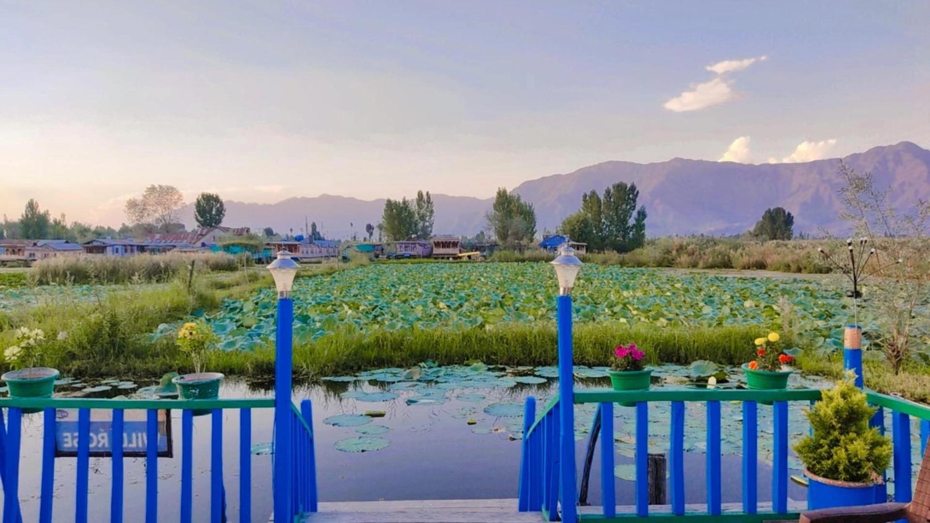 Houseboat Young Wild Rose ศรีนาการ์ ภายนอก รูปภาพ