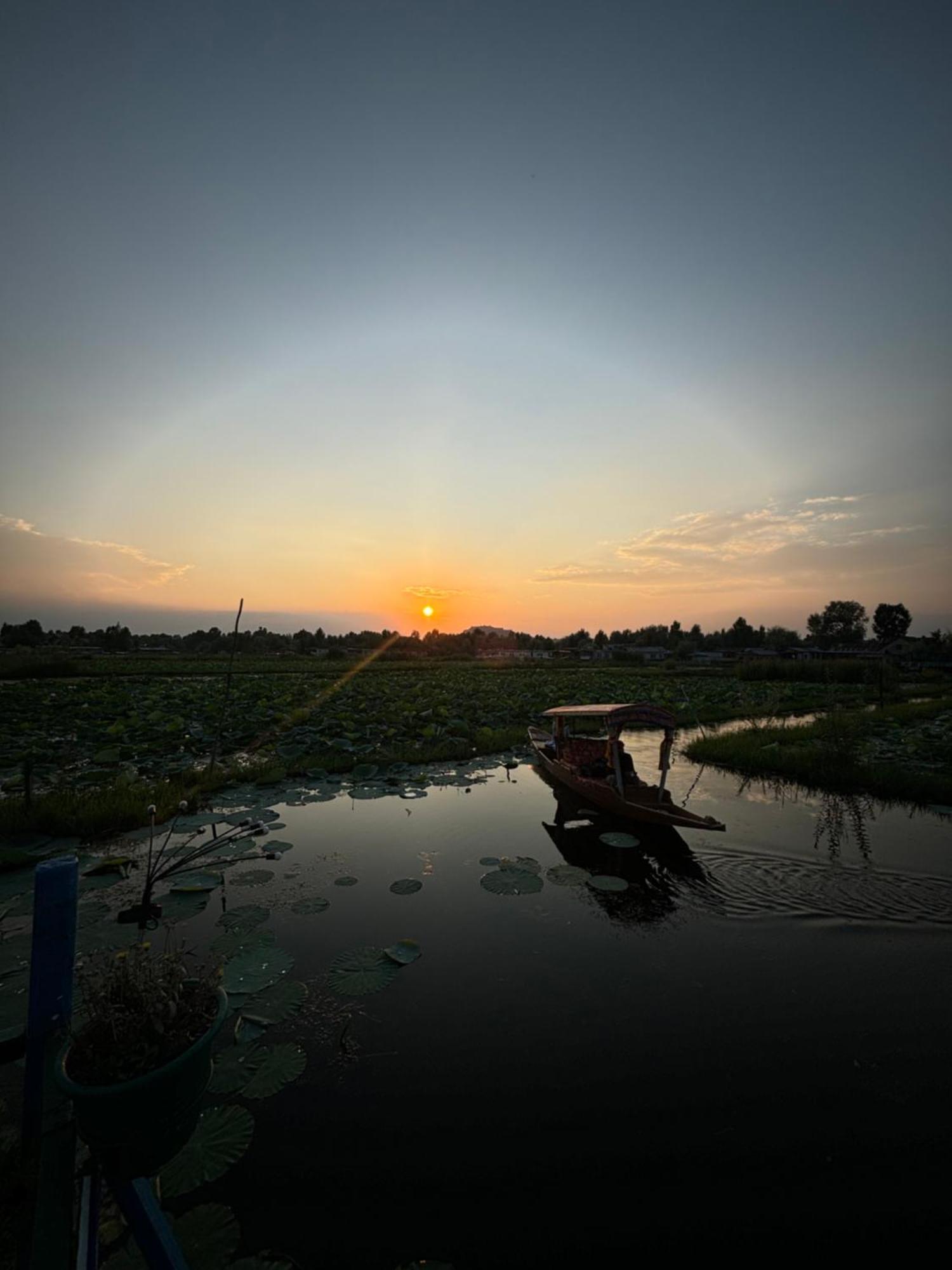 Houseboat Young Wild Rose ศรีนาการ์ ภายนอก รูปภาพ